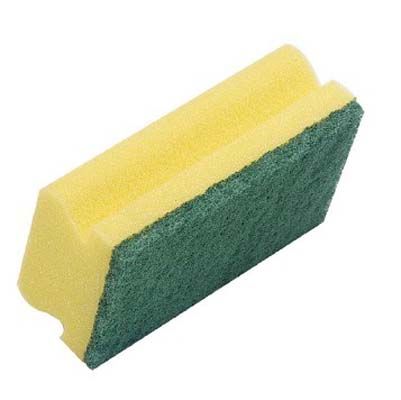 Sponge Scourer