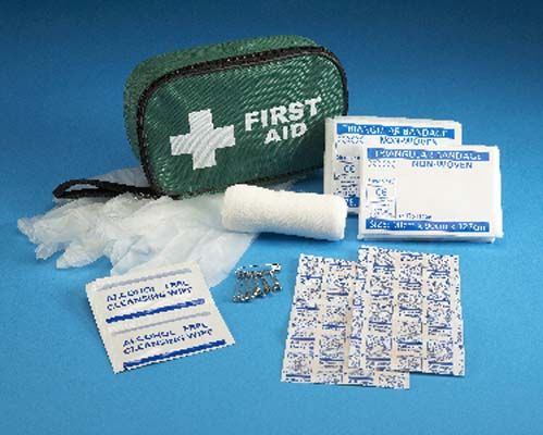 Mini First Aid Kit in Pouch